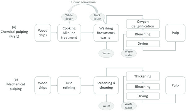 chemical pulping process and mechanical pulping process