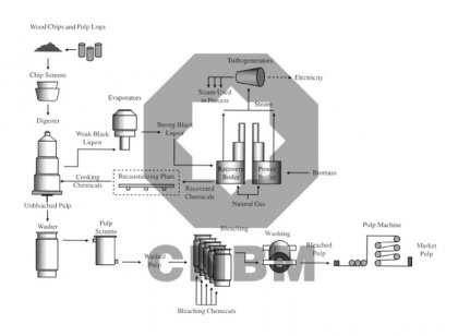 What is chemical paper pulp and its process